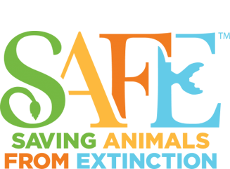 Saving Animals From Extinction